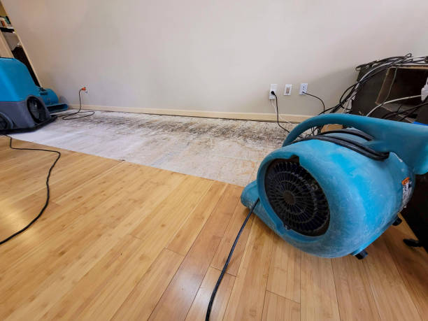 Professional Structural Drying technician working in Milliken, CO